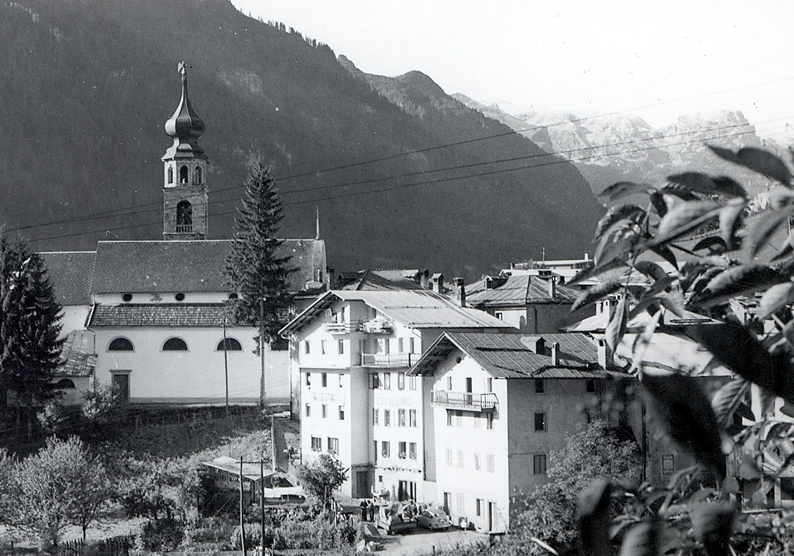 cavalino