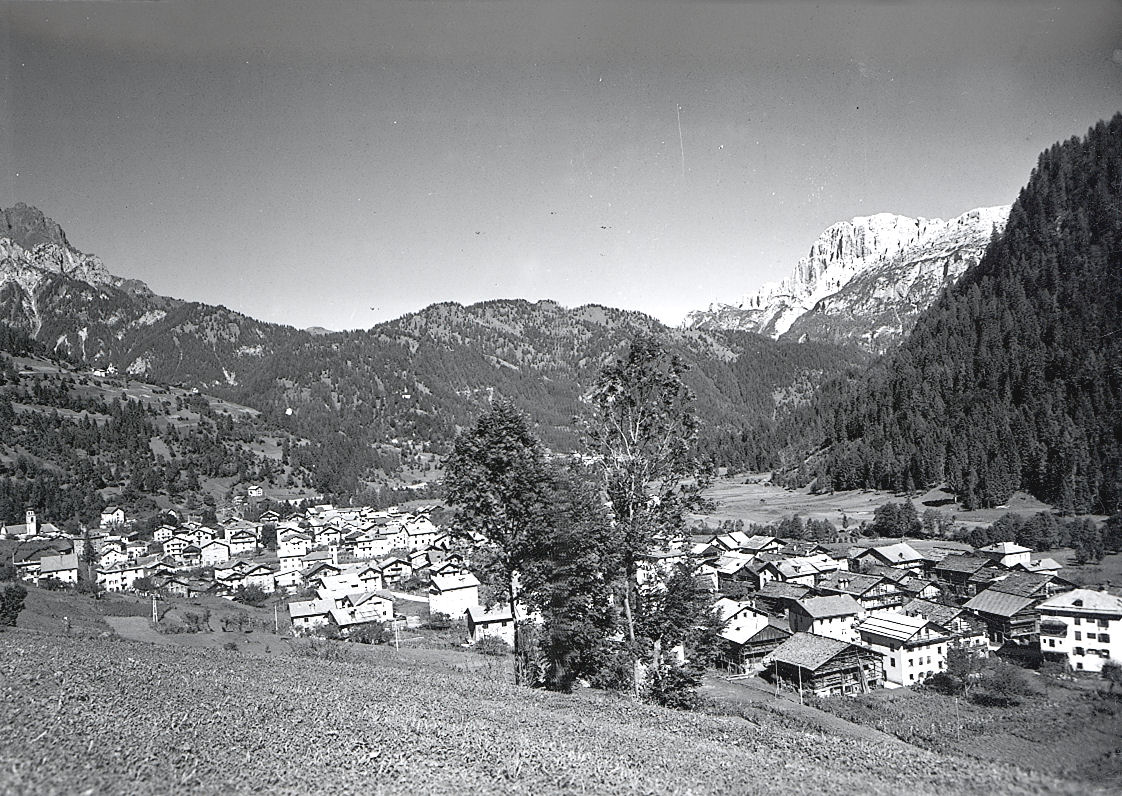 icoidista